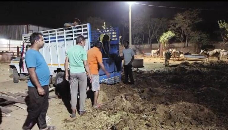 Rajgarh Today News : गौ सेवकों ने गौवंश से भरी 2 पिकअप एवं 1 गौतस्कर पकड़ कर किया पुलिस के हवाले