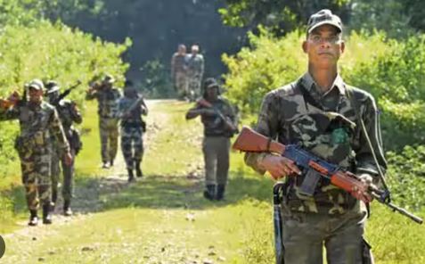 Police naxal encounter in bijapur : मुठभेड़ में अब तक 13 नक्सलियों के शव बरामद