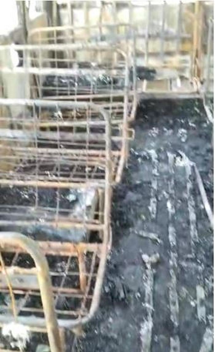 School Bus Fire : खेडली के रोनिजाथान मे निजी स्कूल की बस में लगी आग, बस जलकर हुई खाक