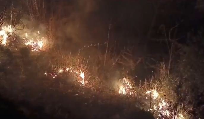 Dehradun Top News : वनाग्नि की घटनाओं में साल दर साल इजाफा 2 556 2