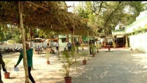 CG Lok Sabha Election Phase 3 : देखें जंगल की थीम में बना छत्तीसगढ़ का शानदार मतदान केंद्र..... 2 265