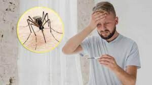 West Nile virus in Kerala