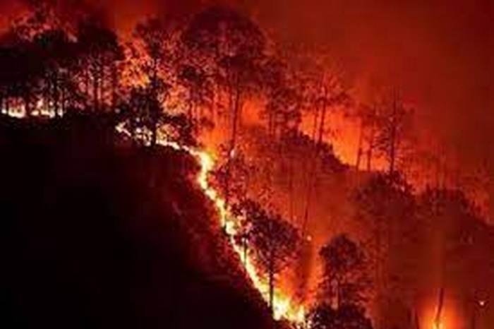 Uttarakhand forest fire update