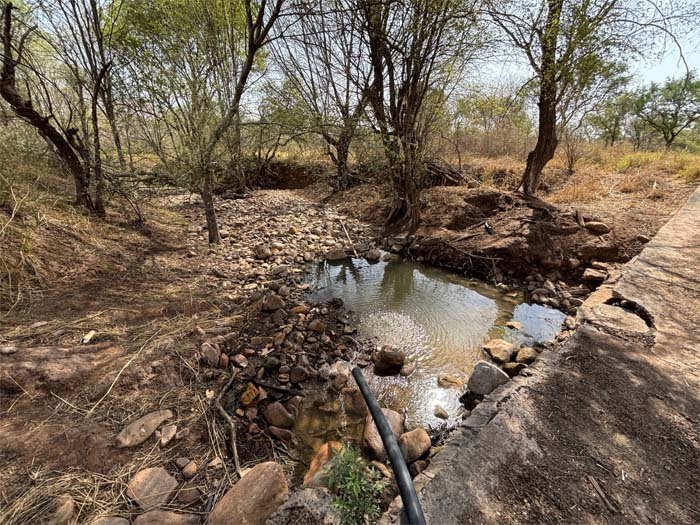 Kuno National Park : चीतो को लू व तेज गर्मी से बचाने स्प्रे कर वातावरण को किया जा रहा ठंडा...देखें वीडियो