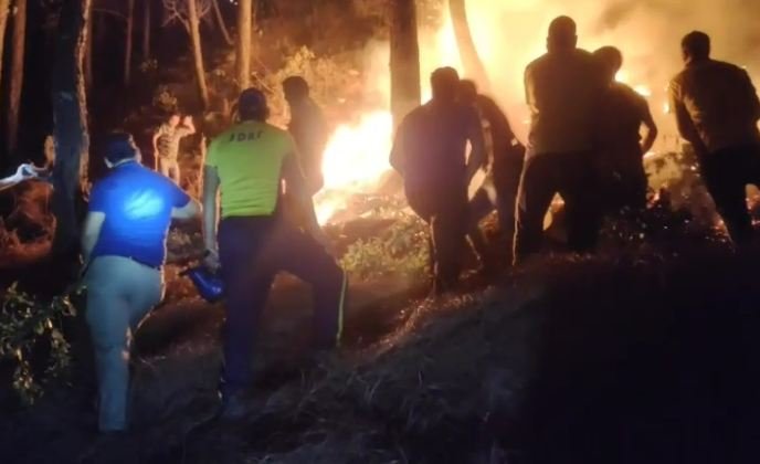 Uttarkashi forest fire