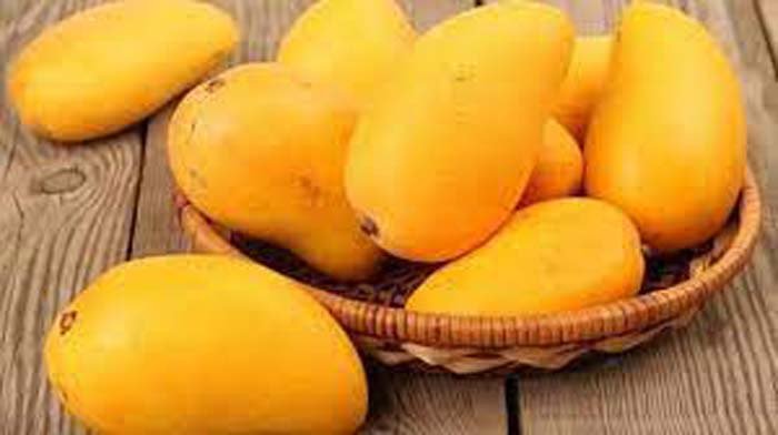 Disadvantages Of Mango