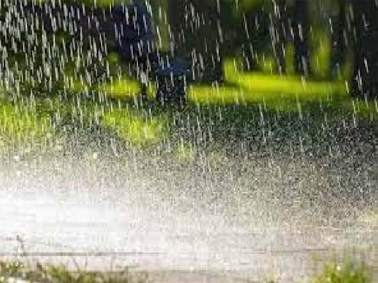 CG Weather Today