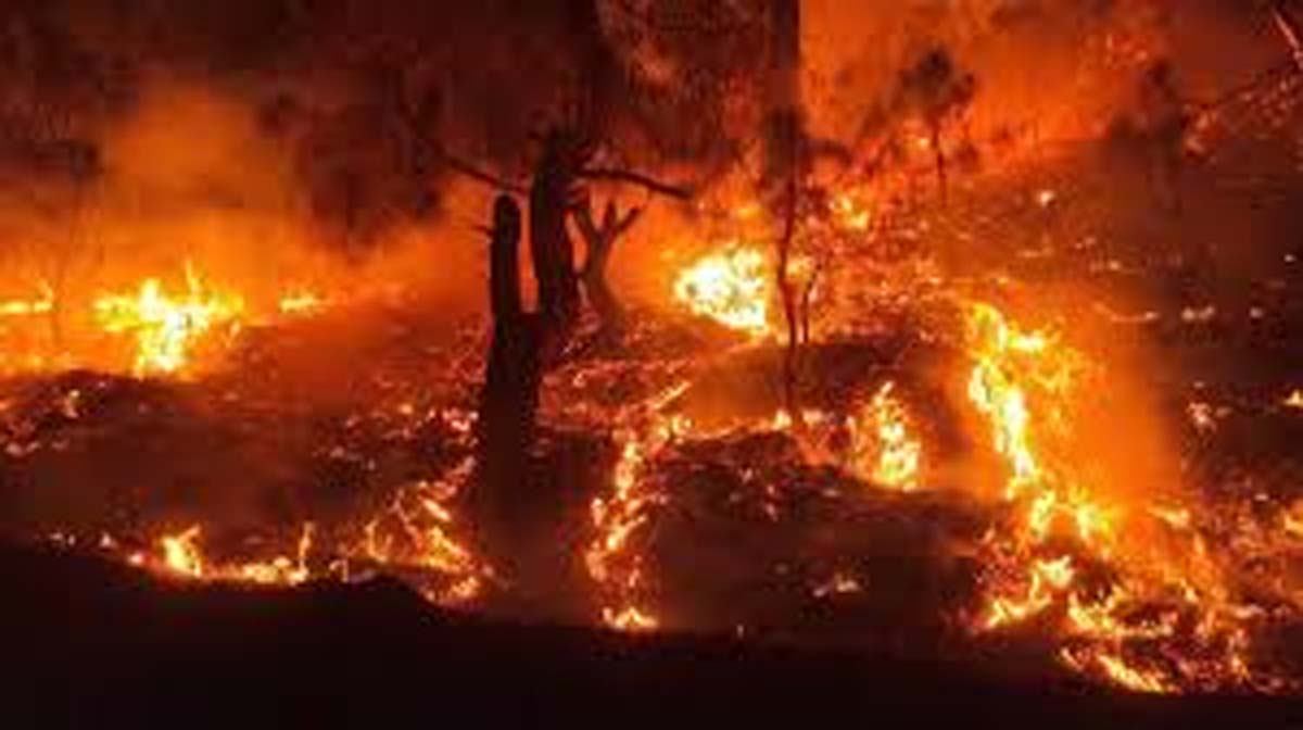 Dehradun Forest Fire