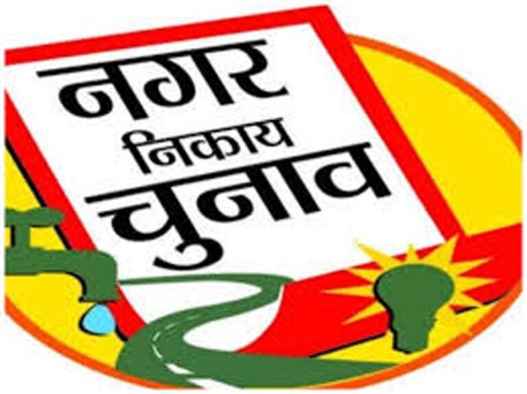 Municipal Elections