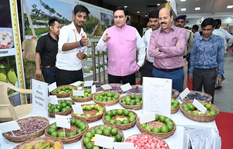National Mango Festival