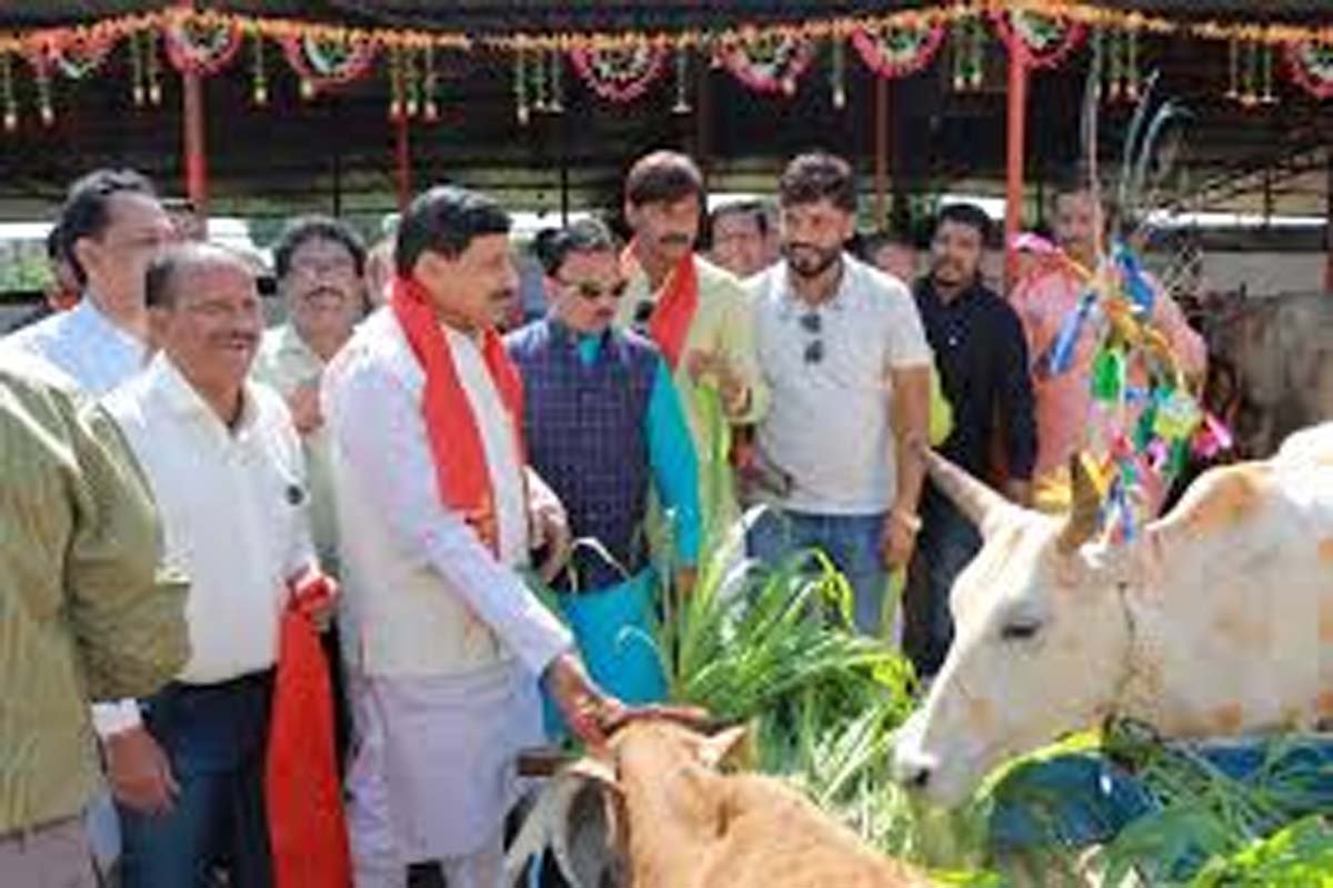 CM Yadav Review Meeting