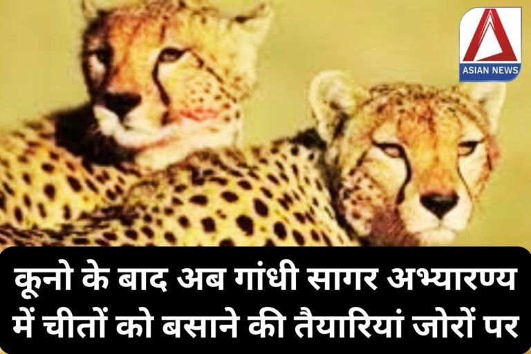 Gandhi Sagar Wildlife Sanctuary