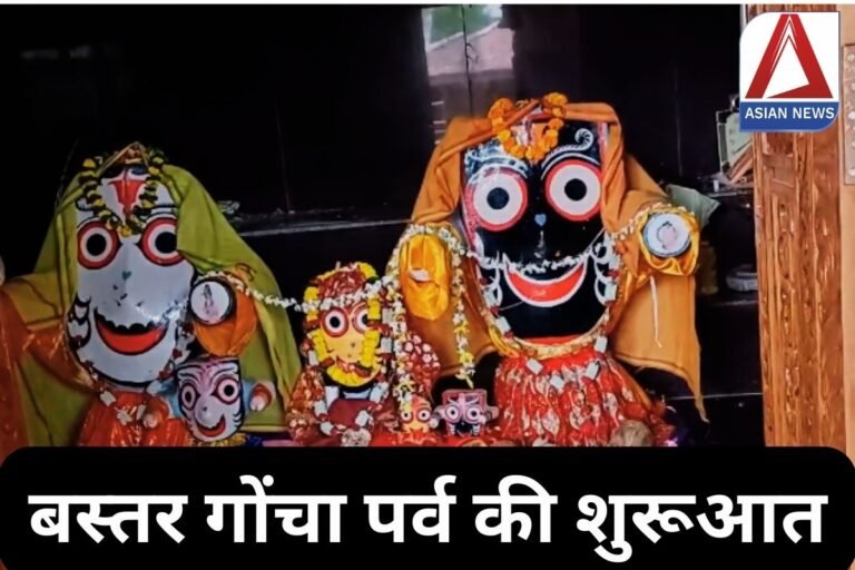 Bastar Goncha festival