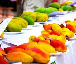 Mango Festival in Raipur