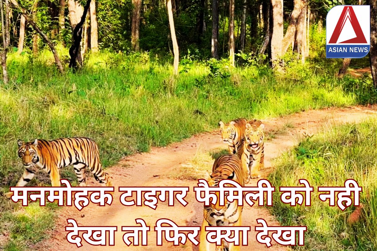 Satpura Tiger Reserve