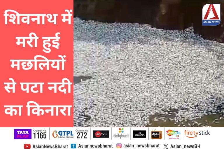 Bilaspur Viral Video