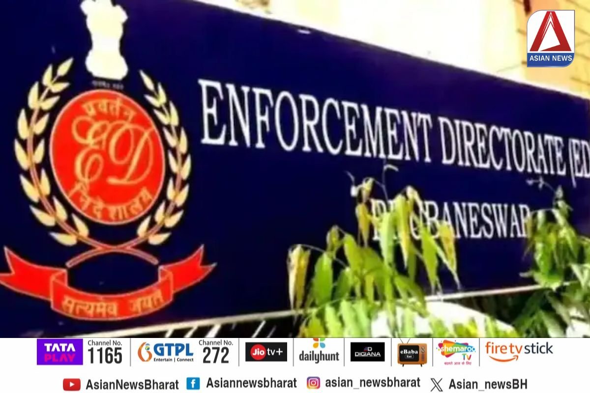 Money Laundering Cases