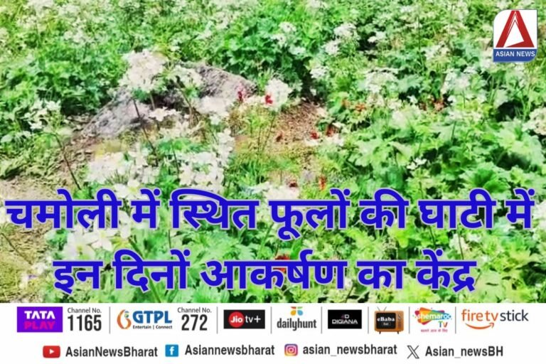 Chamoli Uttarakhand
