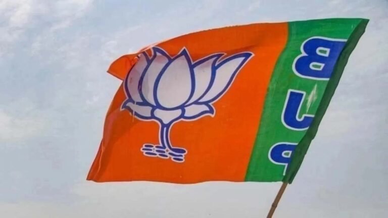 BJP Action Plan