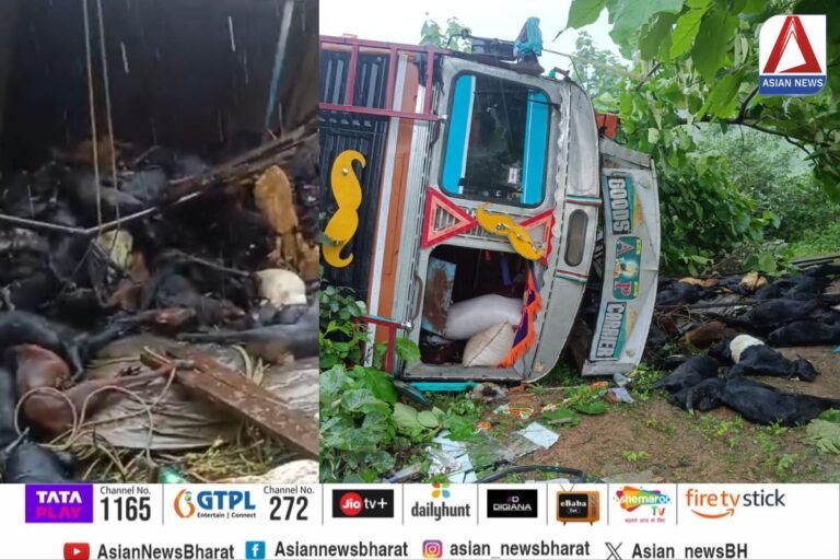 Damoh Accident News