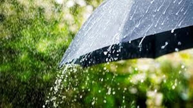 Rain In Chhattisgarh