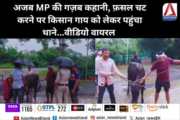 MP Betul News