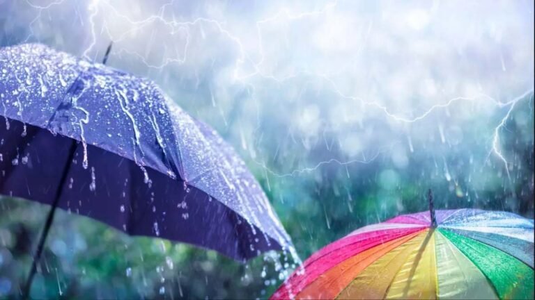 MP Heavy Rain Alert