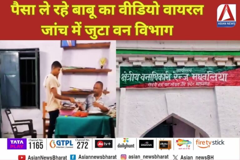 Uttar Pradesh News