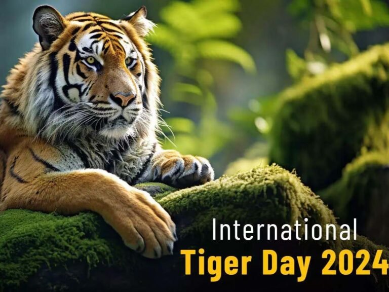 International Tiger Day 2024