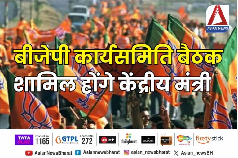 बीजेपी कार्य