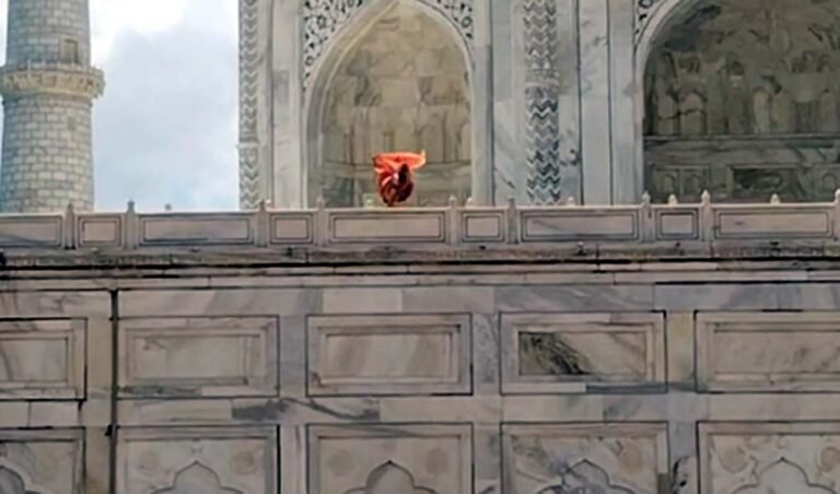 TajMahal Agra