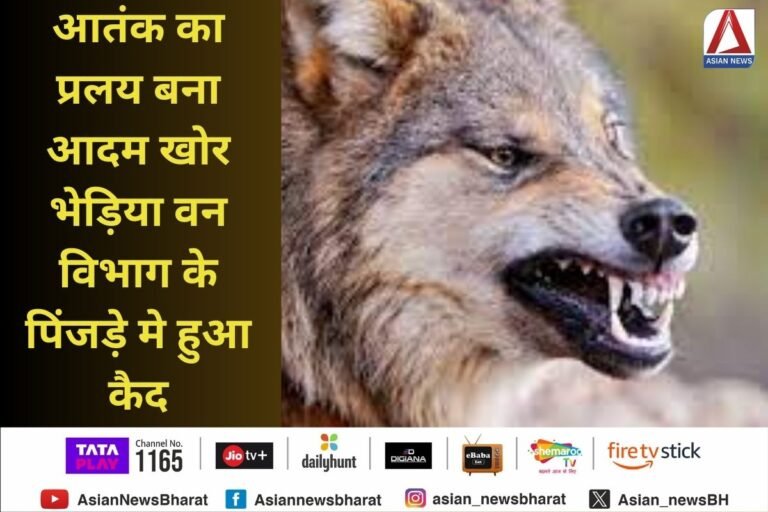 Bahraich News