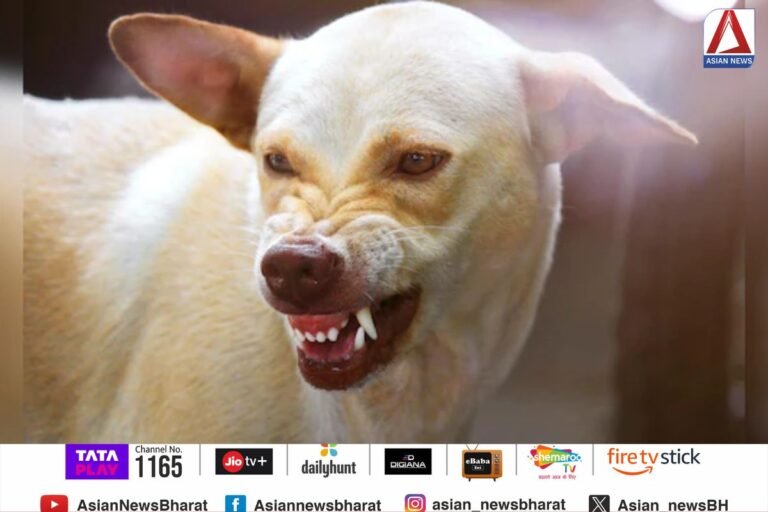 Dog Bite In Chhattisgarh