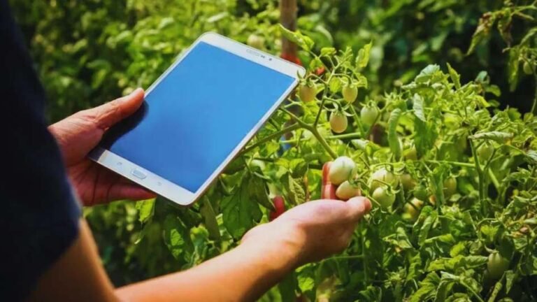 डिजिटल फसल सर्वे : प्रत्येक ग्राम के लिए 20 सर्वेक्षणकर्ताओं का होगा चयन