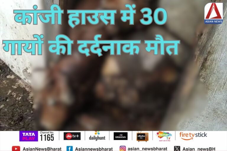 Balodabazar News