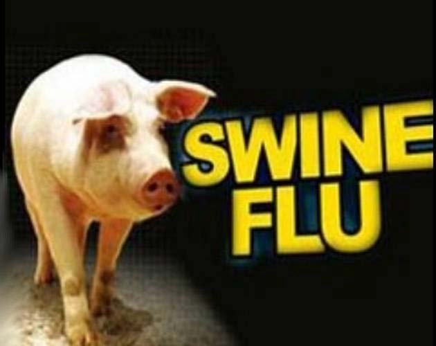 Swine Flu : खतरनाक हो रहा स्वाइन फ्लू, 10 माह के बच्चे से 60 साल तक के बुजुर्ग चपेट में