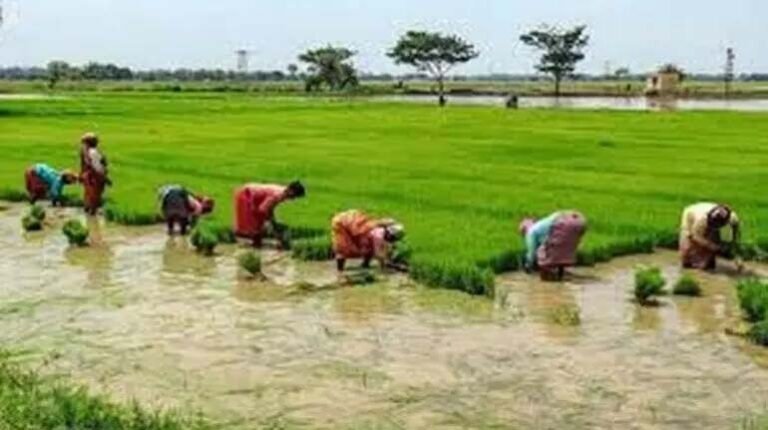 Pradhan Mantri Fasal Bima Yojana