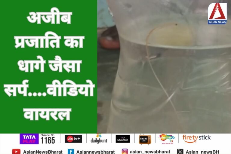 Nagari Sihawa News : अजीब प्रजाति का धागे जैसा सर्प....वीडियो वायरल