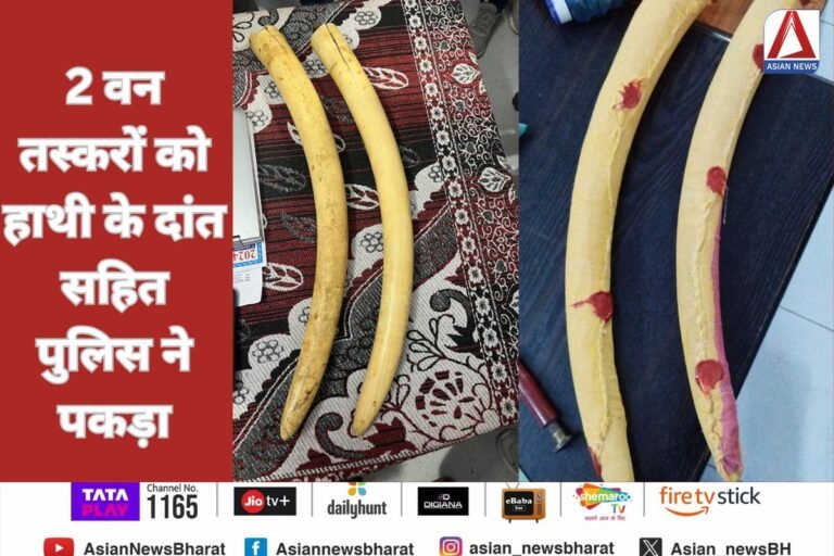 2 वन तस्करों को हाथी के दांत सहित पुलिस ने पकड़ा