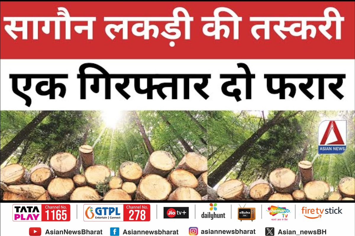 Bilaspur News Bilaspur News