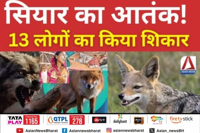Chhattisgarh News : सियार मचा रहा आतंक..........