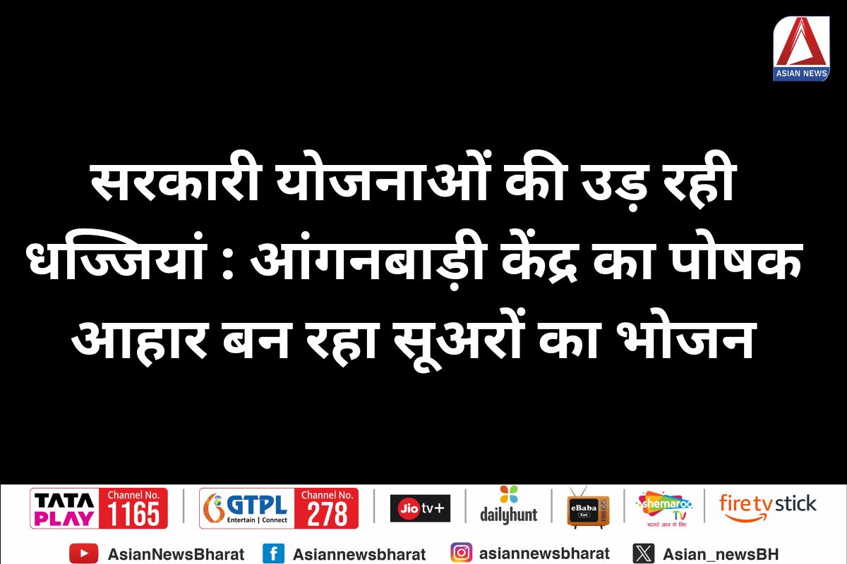 Rewa News : सरकारी योजनाओं की उड़ रही धज्जियां : आंगनबाड़ी केंद्र का पोषक आहार बन रहा सूअरों का भोजन