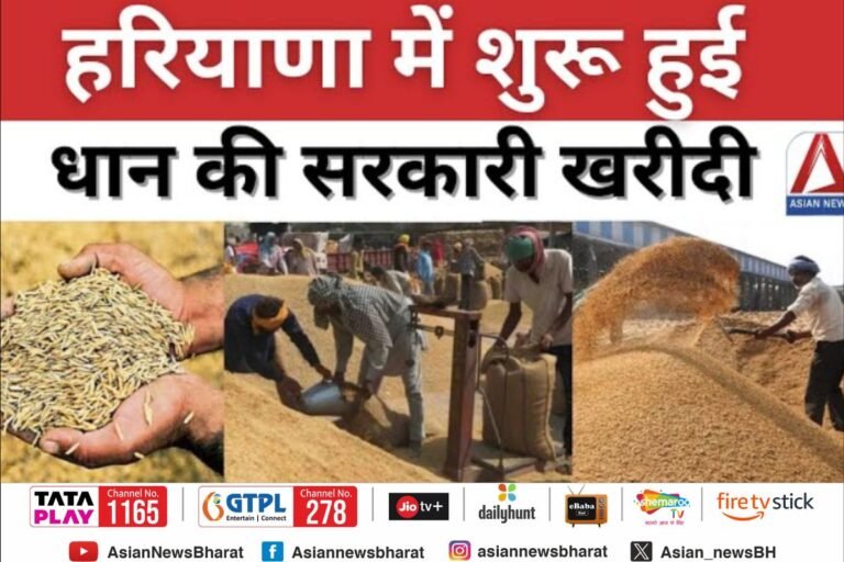 Haryana News : हरियाणा में आज से शुरू हुई धान की सरकारी खरीदी