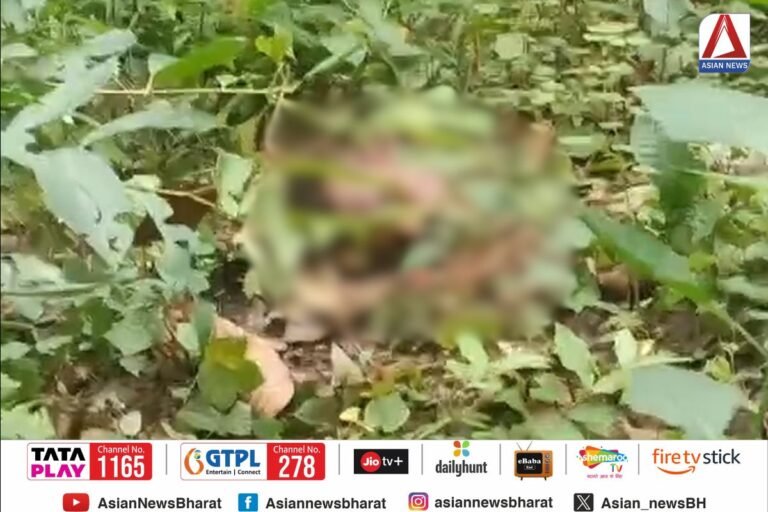 Jashpur Crime News