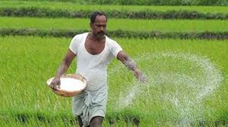 MP News : एमपी के किसानों को केंद्र सरकार का तोहफा