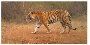 269c20e3 6722 4116 9e39 b25aaf27b174