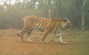 8d13f37d 3880 46da 82e5 be83b18433eb