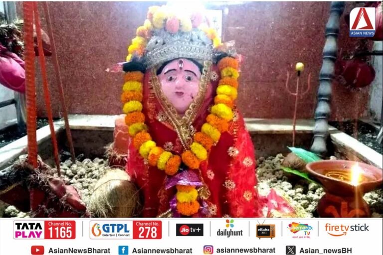 बिलासपुर : बगदाई वनदेवी मंदिर की अनोखी परंपरा