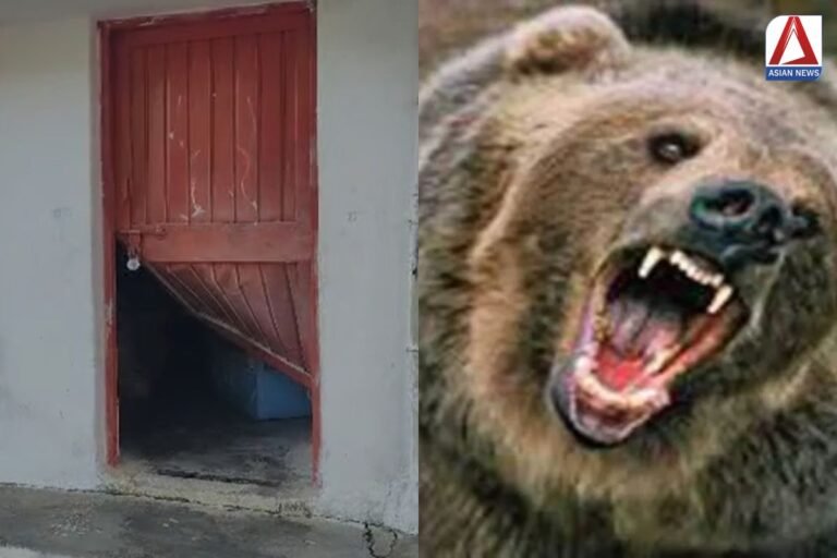 Kanker Breaking : दरवाजा तोड़कर मंदिर में घुसा भालू, नारियल लेकर हुआ फरार...