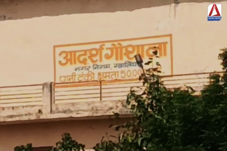 Govardhan Puja 2024 : सबसे बड़ी गोवर्धन पूजा ग्वालियर की आदर्श गौशाला में...जानें खासियत